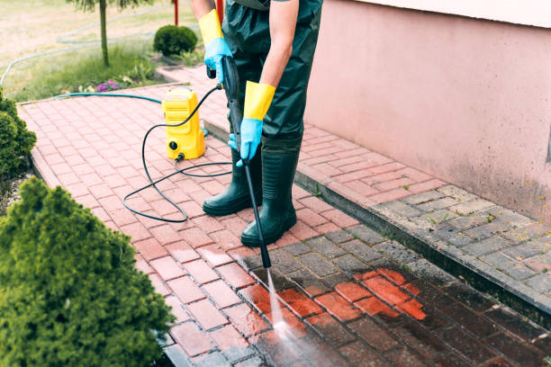 Best Pressure Washing Driveway  in Laureldale, PA